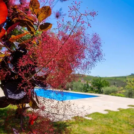 Premium In Carrazeda De Ansi Es With Views